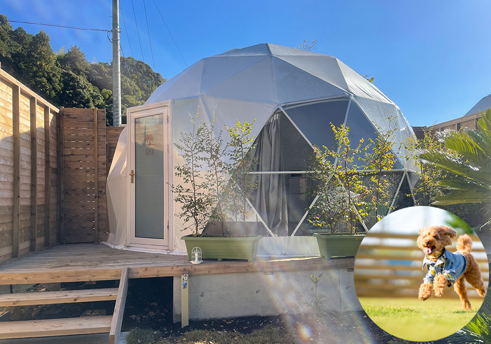 写真:ONE DOME
